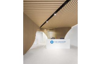 RENASCENT AUSTRALIA PTY LTD