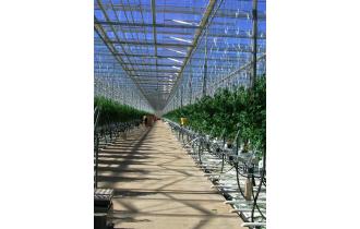 National Buildplan Group Pty Ltd