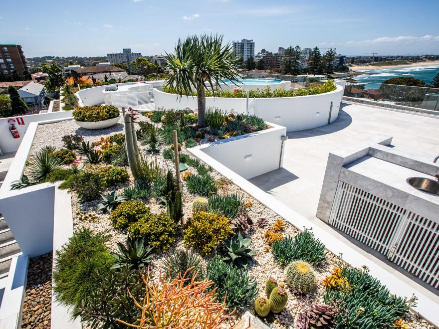 BRONXX CONSTRUCTIONS