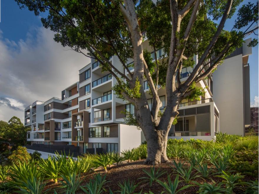 Taylor Construction Group Pty Ltd