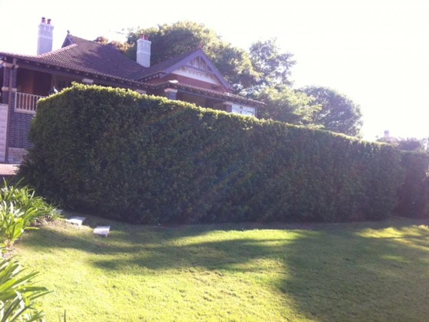 Trend Constructions (BEFORE)