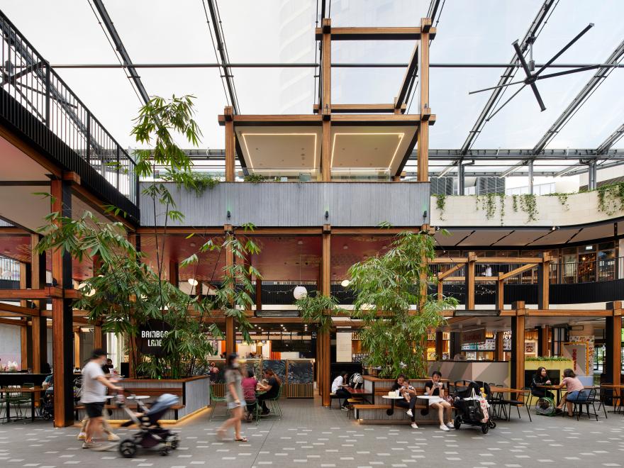 Billbergia Constructions