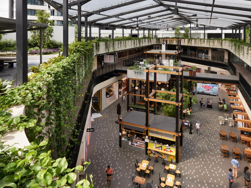 Billbergia Constructions