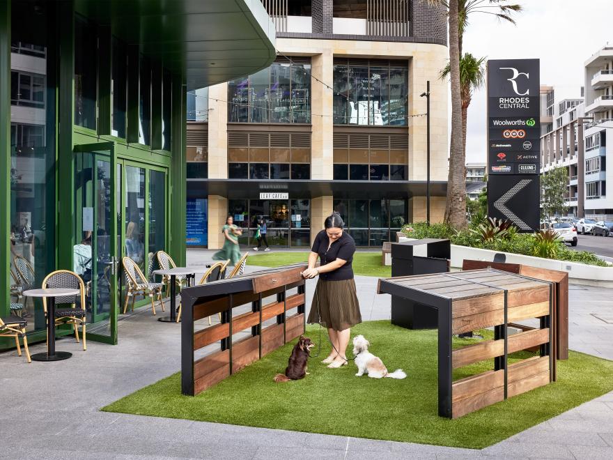 Billbergia Constructions