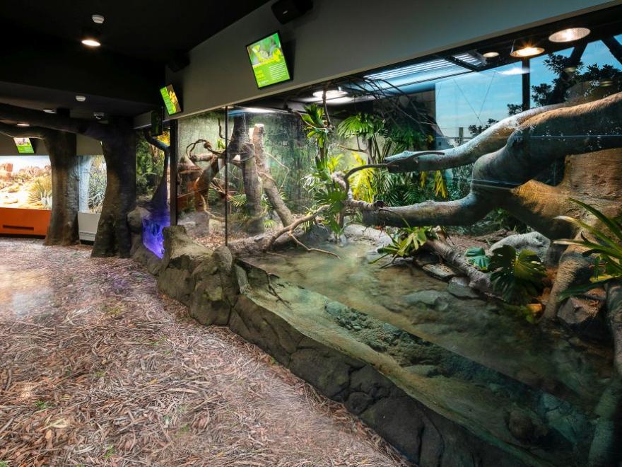 Stephen Edwards Constructions