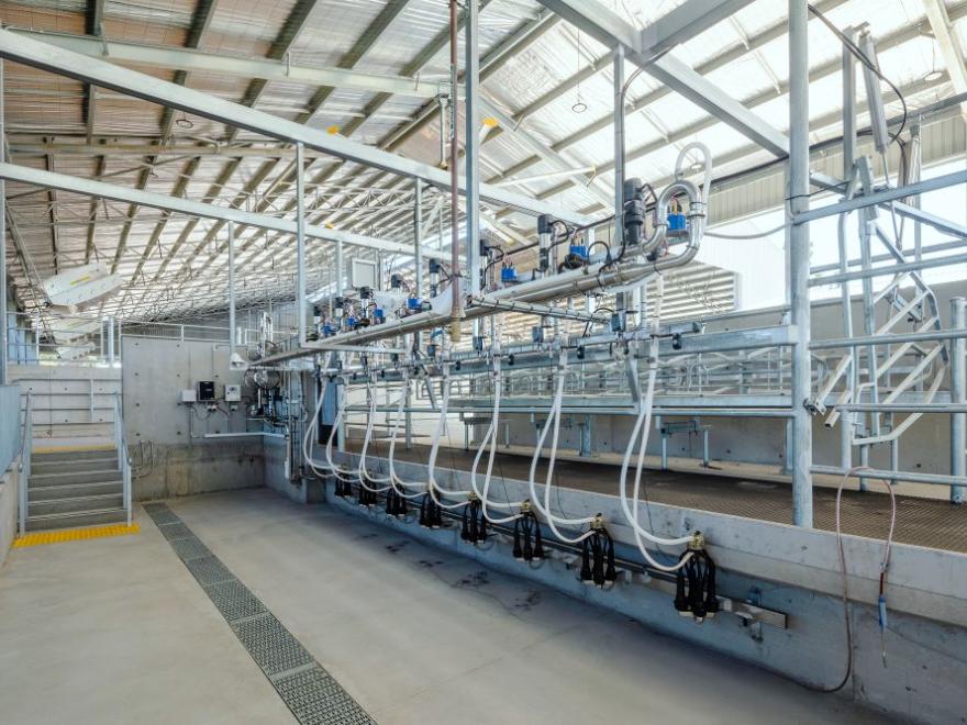 Stephen Edwards Constructions