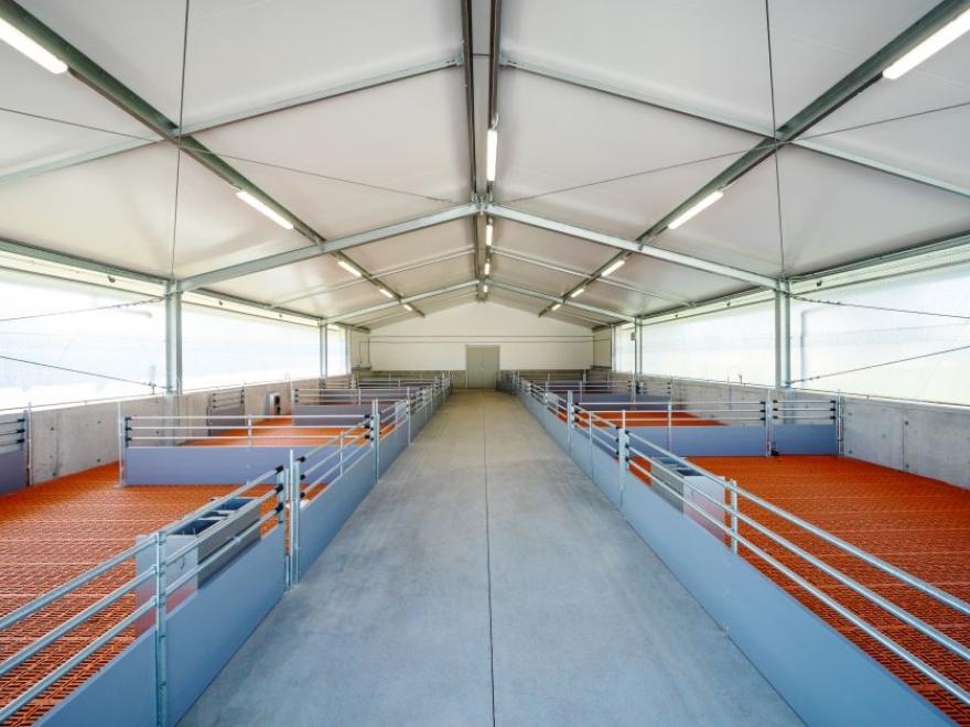 Stephen Edwards Constructions